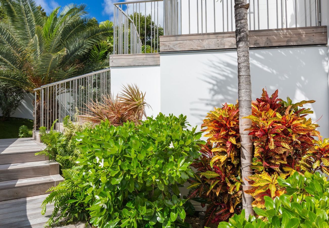 Villa in Saint Barthélemy - Villa Wine Note St Barths 5-bd