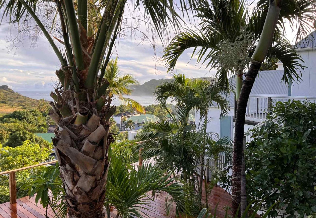 Villa in Saint Barthélemy - Villa Cases Des Iles St Barths 2-bd