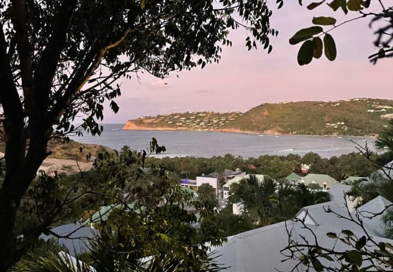 Villa in Saint Barthélemy - Villa Cases Des Iles St Barths 2-bd
