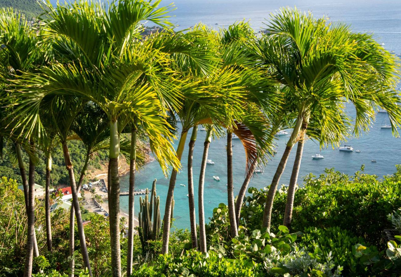 Villa in Saint Barthélemy - Villa Ahva St Barths 4-bd