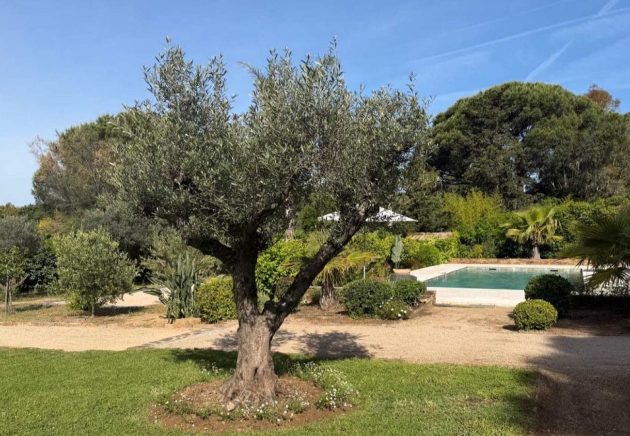 Villa in Saint-Tropez - Villa Fontaine du Pin Saint-Tropez 4-bd