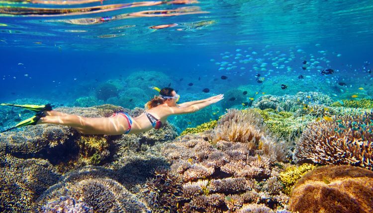 honeymoon dive st barts