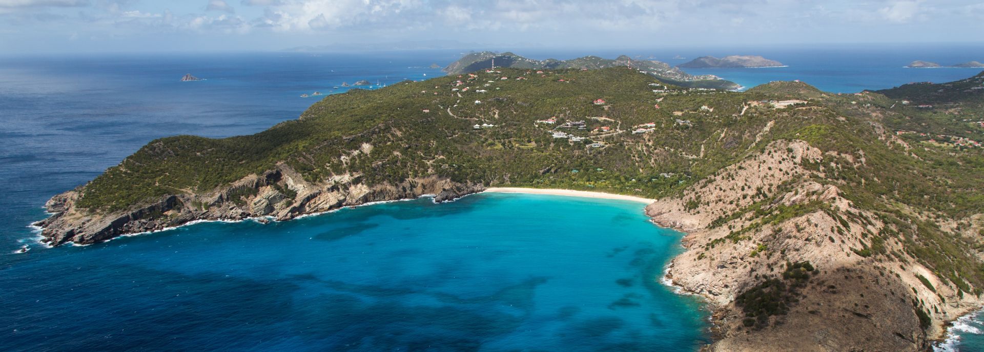 Flamands in St. Barts