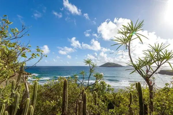 excursions st barth