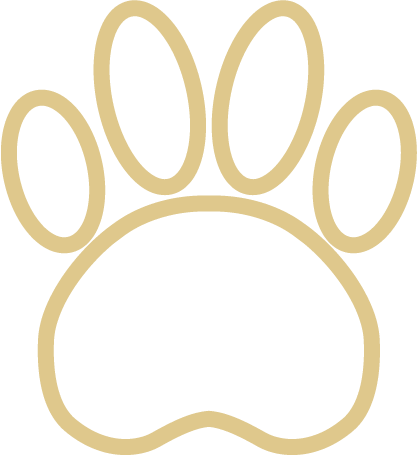 pet care