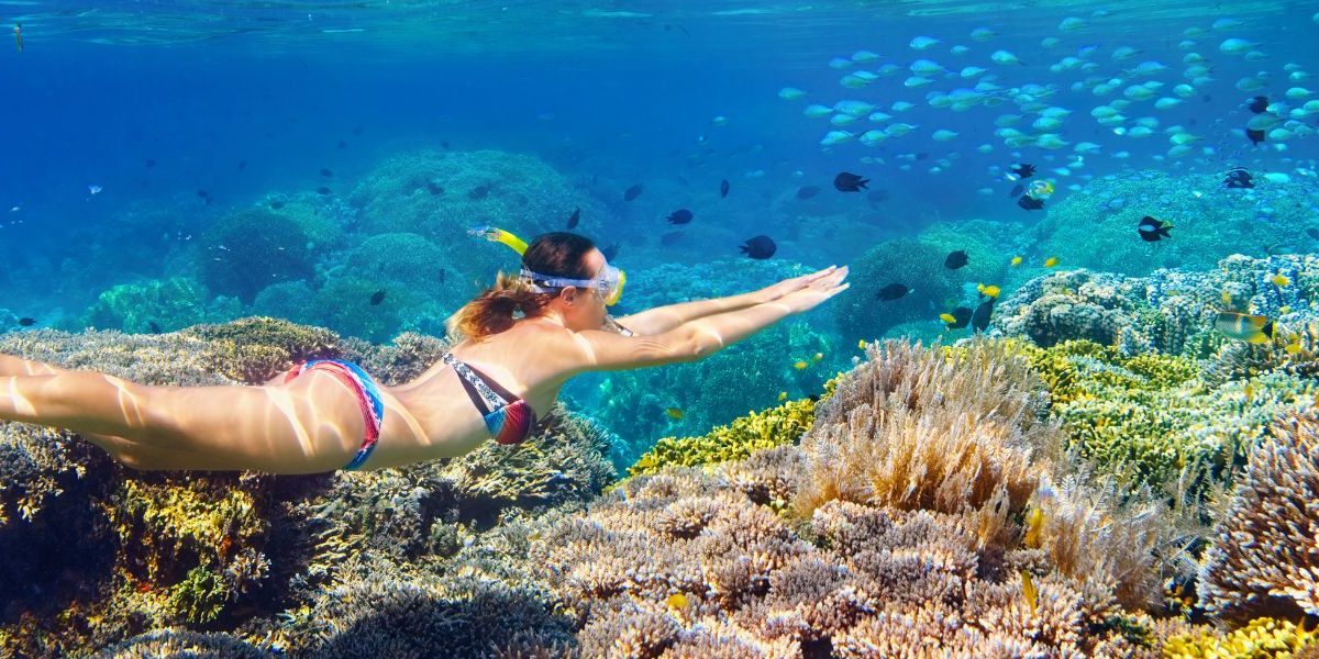 snorkelling-st-barts